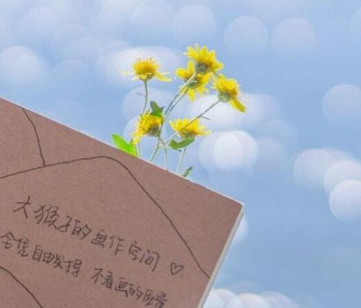 积极阳光正能量的文案