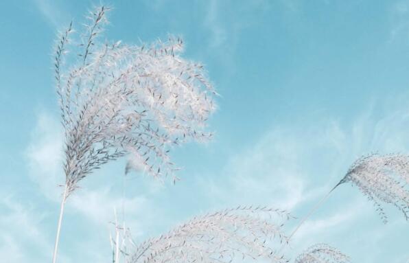 励志式标题文案