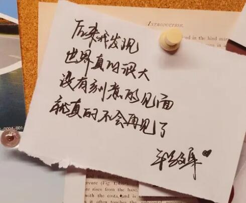 再见的文案100字