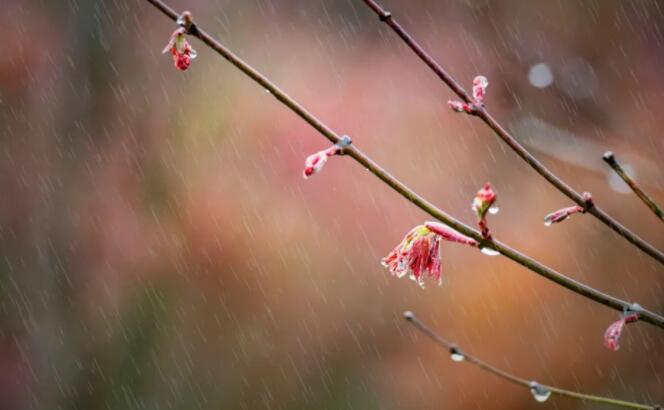 下雨天的诗词文案