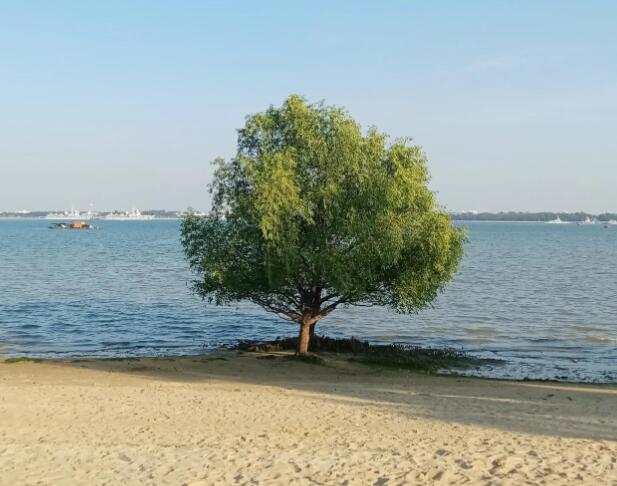 坚持不懈的励志文案