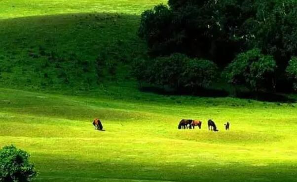 怀念2024年的抖音文案