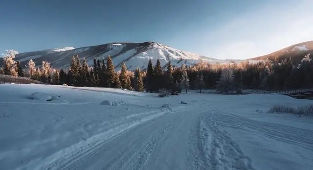 夏天怀念冬天的文案