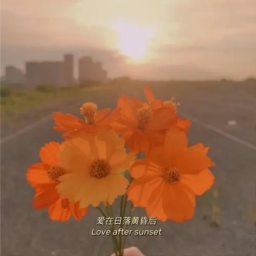 关于光和太阳的文案