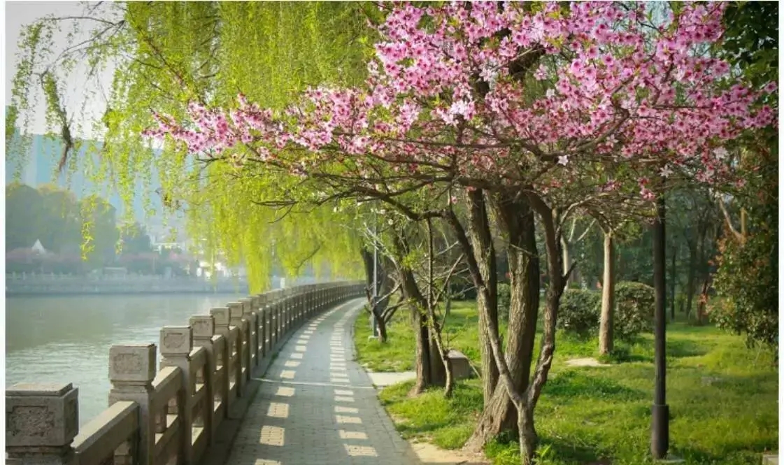 幼儿园小朋友文案发现春天