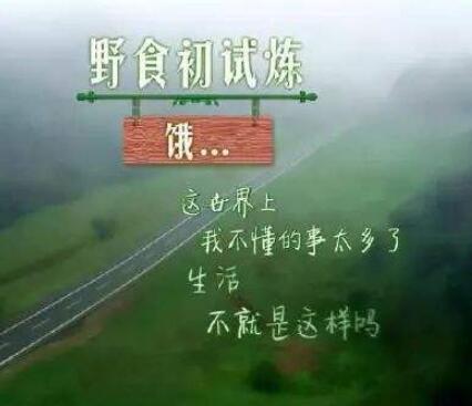 原生态生活文案