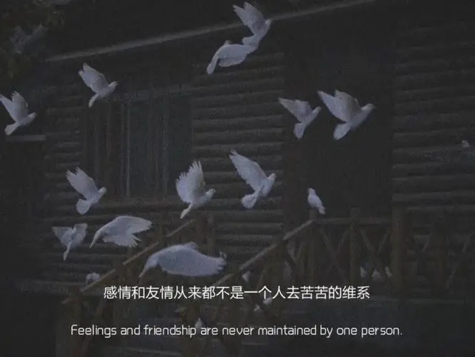 维系关系的文案