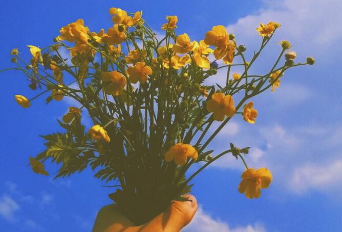 精致文案朋友圈