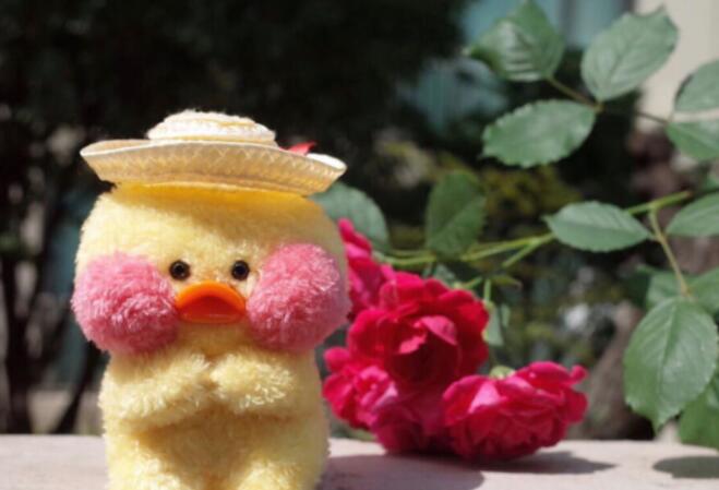 发朋友圈好玩的文案