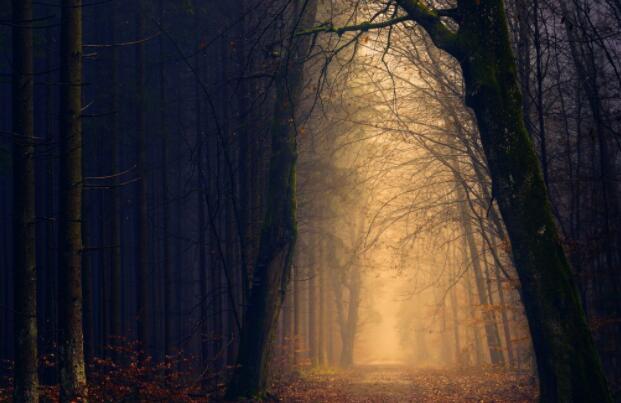 别再发伤感文案了