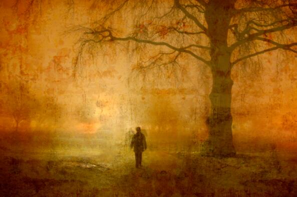 无文案翻译英文