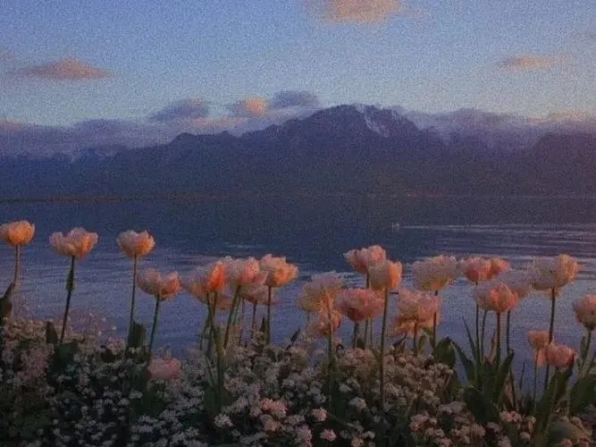 发朋友的朋友圈文案