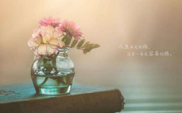 新年过去的文案