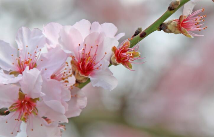 高冷的朋友圈文案