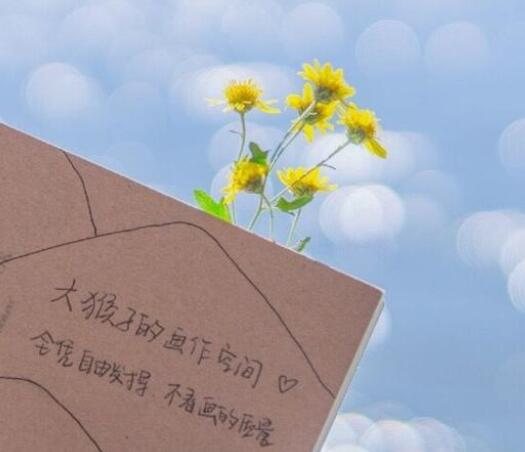 积极阳光的文案简短