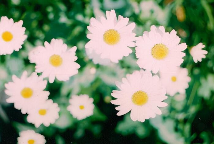 引起共鸣的情感文案