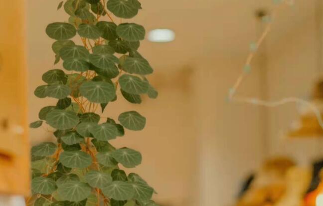 正能量创意文案