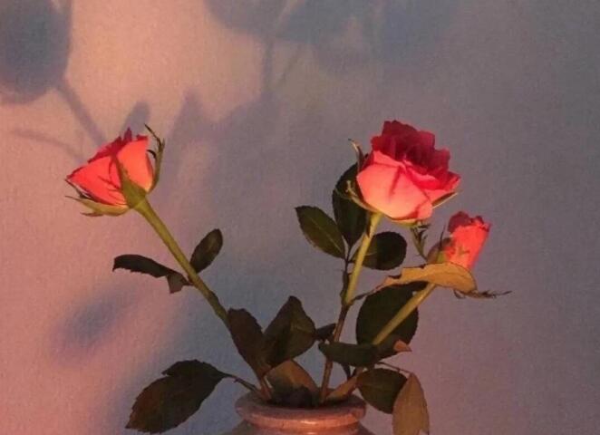 要别人点赞的文案