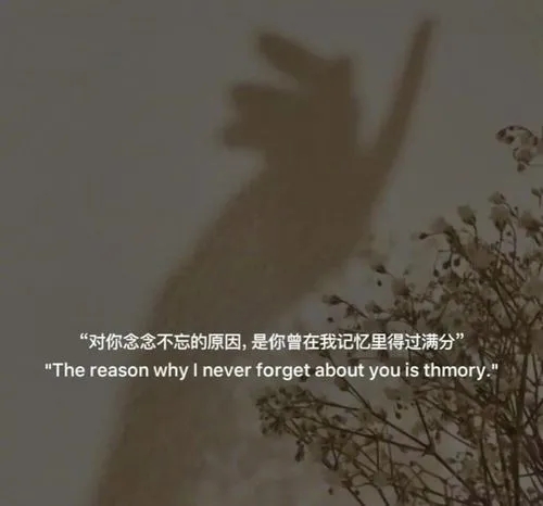 学生时代遗憾的文案