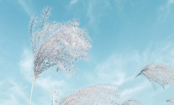 四句话的励志文案