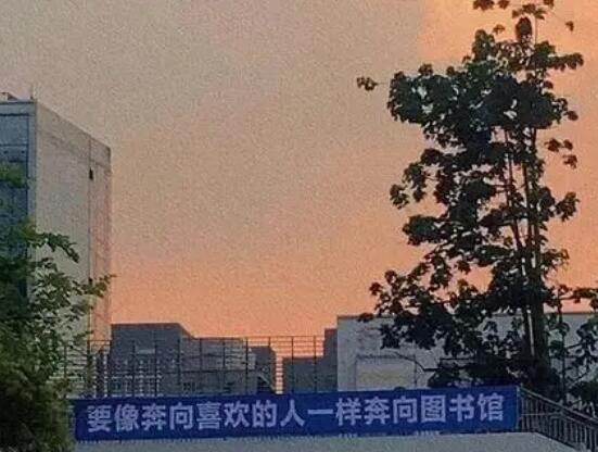 适合校园视频的文案