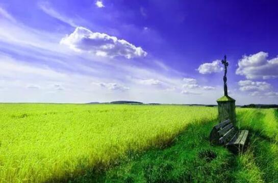 春意盎然的文案