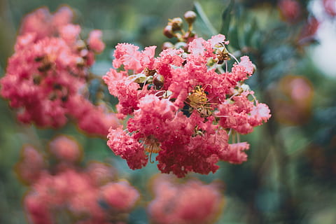 容易上热门的文案50字