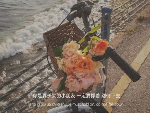 朋友圈简单的文案