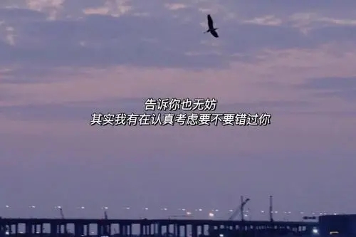 发qq的感情文案