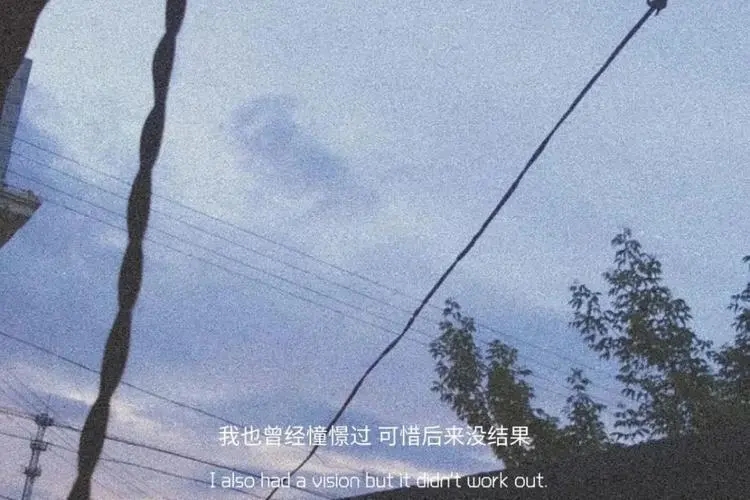 表达可惜的文案