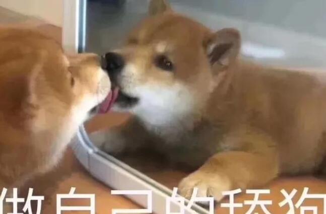 带宝字的舔狗文案