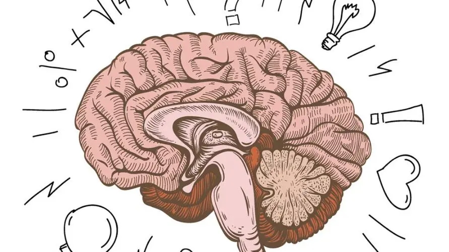 脑子不好使文案