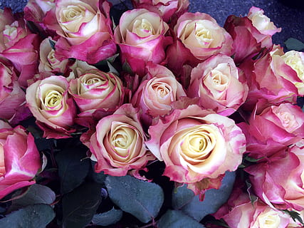 冬季婚礼伴娘穿什么好 冬天当伴娘穿什么衣服好啊？