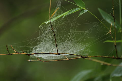 结婚照放大怎么选择 婚纱照放大该如何选择