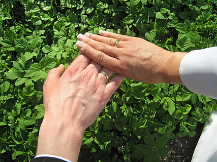 结婚定酒店注意什么 结婚选择酒店应注意哪些问题？