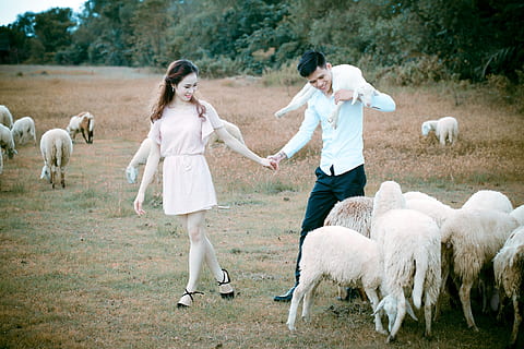 结婚胸花用什么鲜花 结婚当天用的胸花用鲜花好还是用假花好呢