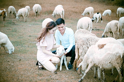 电子请帖的标题怎么写