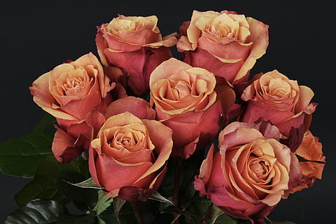 送朋友结婚礼物送什么好 送别人结婚礼物送什么好