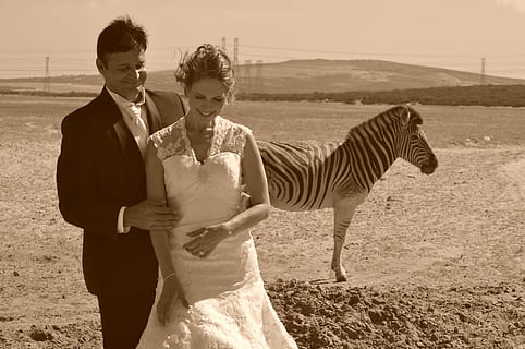 结婚须要什么证明吗 结婚时需要什么证明吗