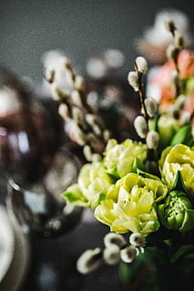 夏天结婚怎么买羽绒服 怎么买羽绒服?