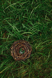 结婚包多少钱合适 朋友要结婚了,我该包多少红包才合适呀