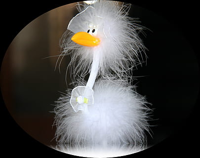 结婚证照片穿什么好看 结婚证照片穿什么颜色的衣服好