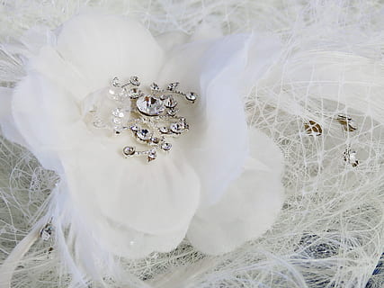 婚嫁吉日冲狗怎么办 我选的结婚日子冲狗煞南,该怎么办啊?