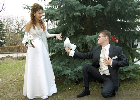 夏天结婚新娘穿什么衣服 夏天结婚时，新郎、新娘穿什么服装好呢？