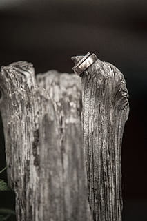 婚礼甜品区大概多少钱 谁知道一个婚礼甜品台要多少钱