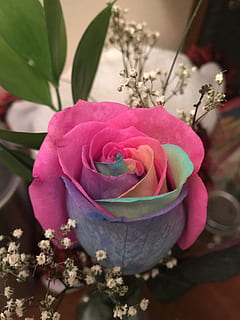 结婚当天穿什么鞋 结婚当天穿什么颜色的鞋子