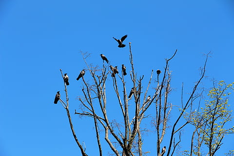 用什么词形容中式婚礼 中式婚礼用什么形容词