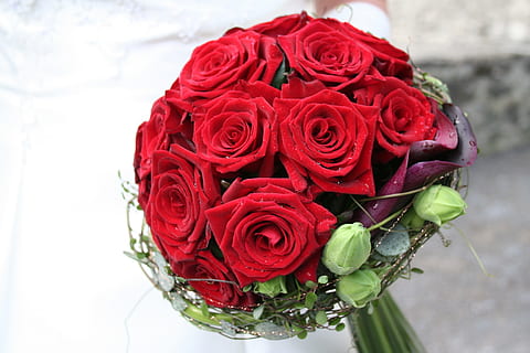 结婚买什么礼品流行 现在,结婚适合或流行送什么礼物啊?