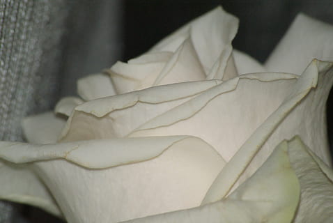 个性婚礼用什么当婚车 哪个做婚车合适