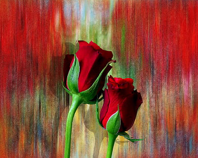 接新娘需要什么 接新娘一般需要带上什么东西